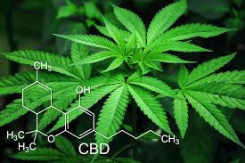 Uso terapéutico del Cannabis